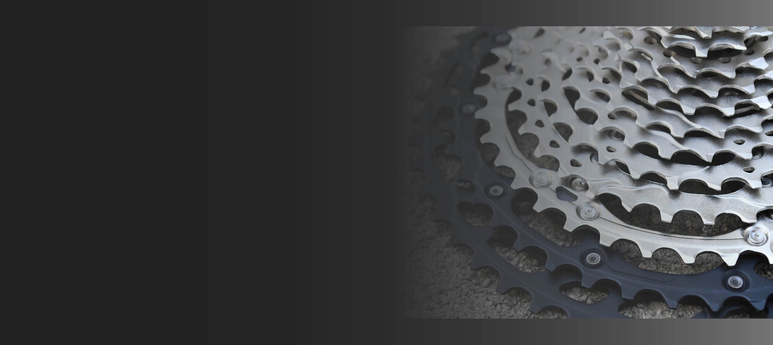 Mountain Bike Cassettes – TBS Bike Parts