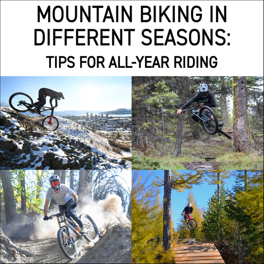 Mountain Biking in Different Seasons: Tips for All-Year Riding
