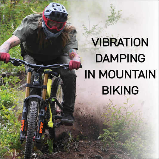 Vibration Damping in Mountain Biking
