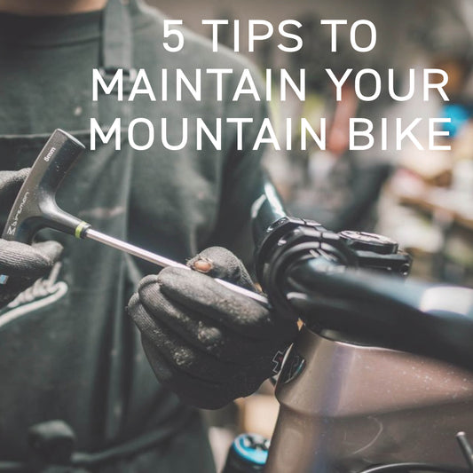 5 Tips to Maintain Your Mountain Bike