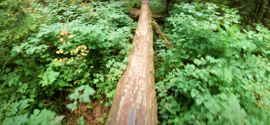 Video: Classic North Shore Riding with Geoff Gulevich