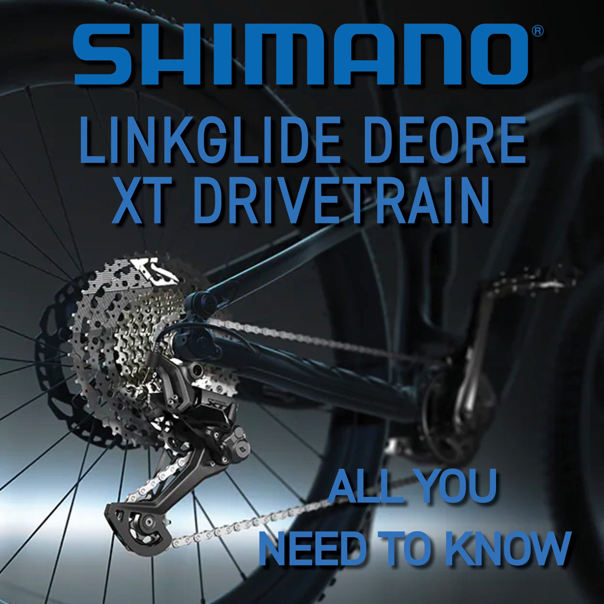 Shimano Kassette CS-LG600 10-fach E-Bike - LinkGlide 11-43 Zähne UK