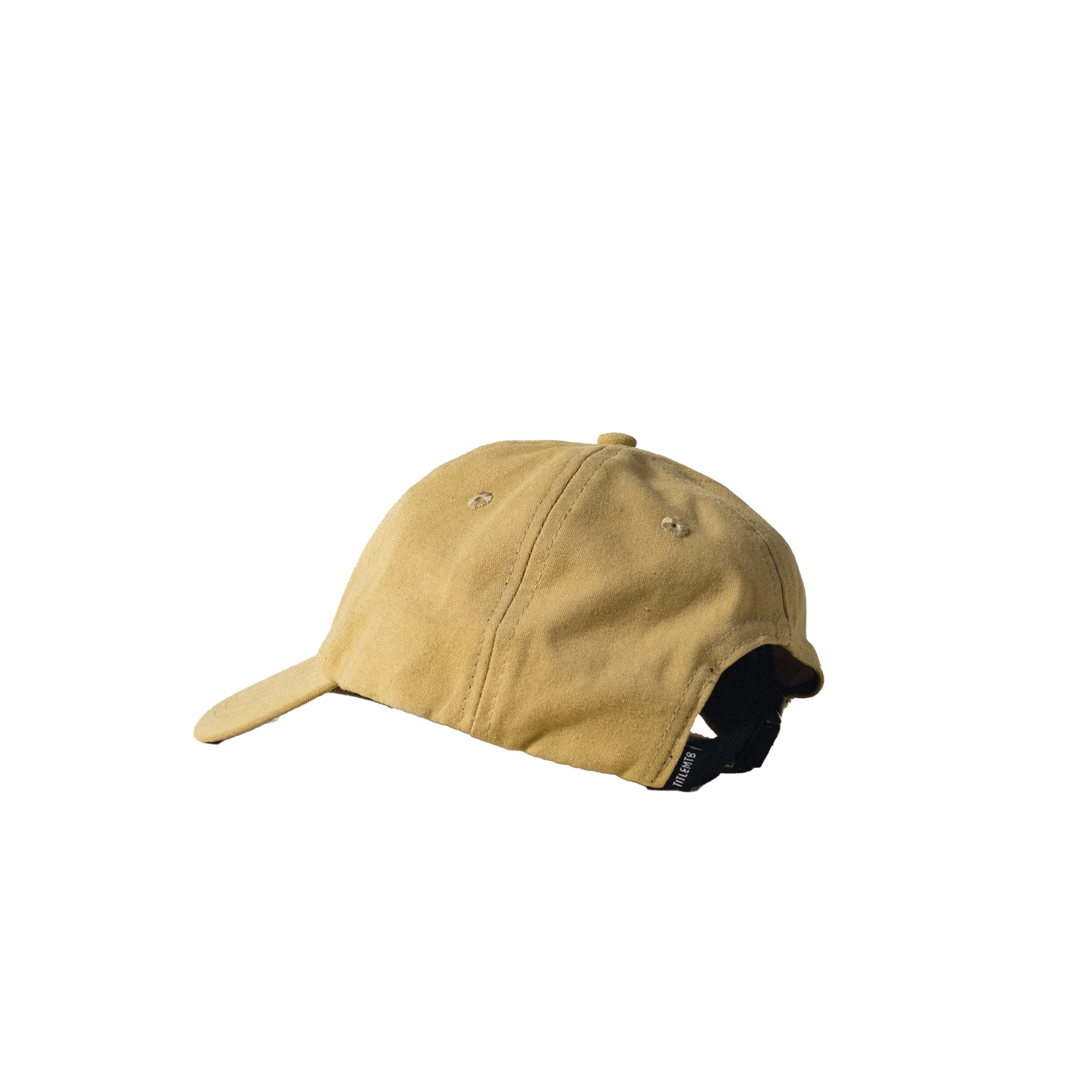 Title MTB Six Panel Dad Hat
