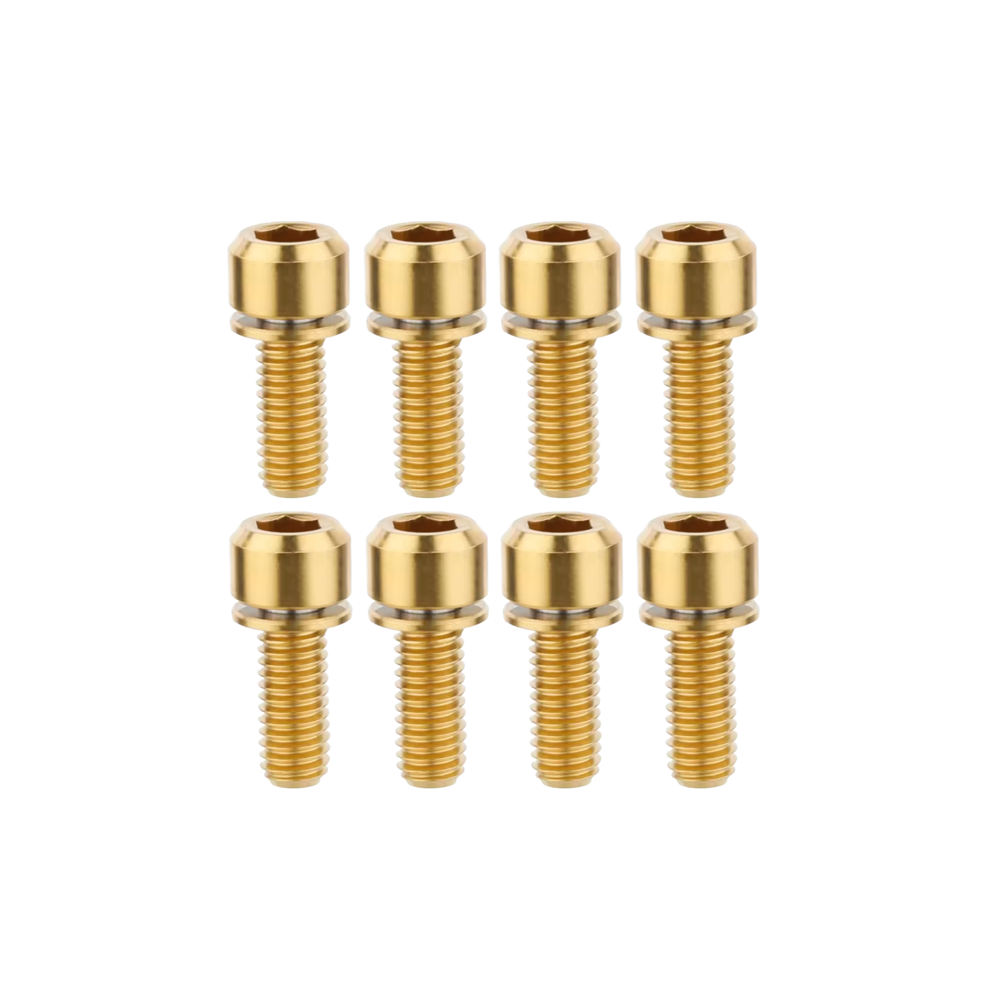 DM1 / DM2 Titanium Bolts (8 pack)