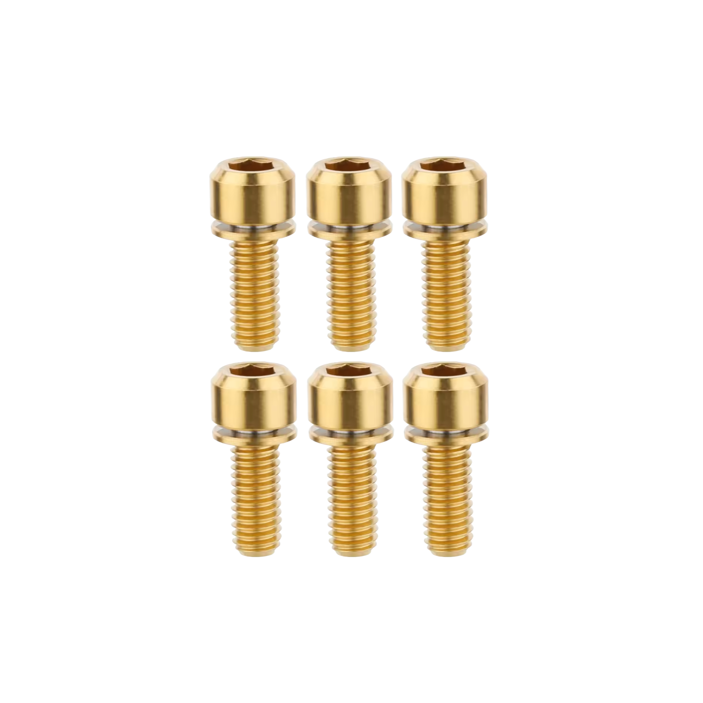 ST1 / ST2 Titanium Bolts (6 pack)